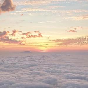 精品一级毛片A久久久
