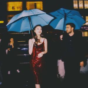 精品一级毛片A久久久
